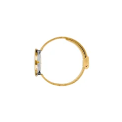 Arne Jacobsen Bankers 34mm 53107-1609 | Dame Dameure I Gulddouble | Herreure I Gulddouble