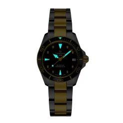 Certina ure Certina DS Action 34,5mm Powermatic 80 C032.007.22.126.00 | Dame Dameure Med Lænke | Dameure I Bicolor