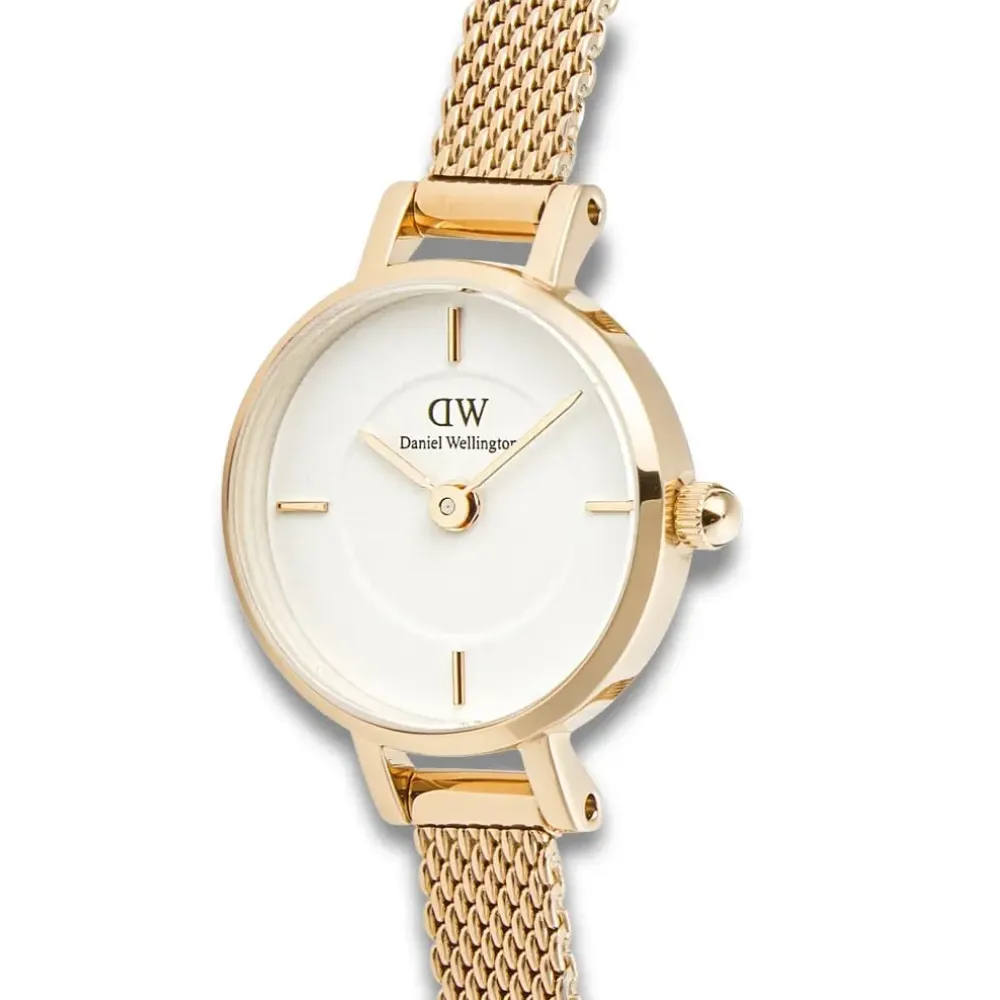 Daniel Wellington ure Daniel Wellington Petite Mini Evergold DW00100745 | Dame Dameure Med Lænke | Dameure I Gulddouble