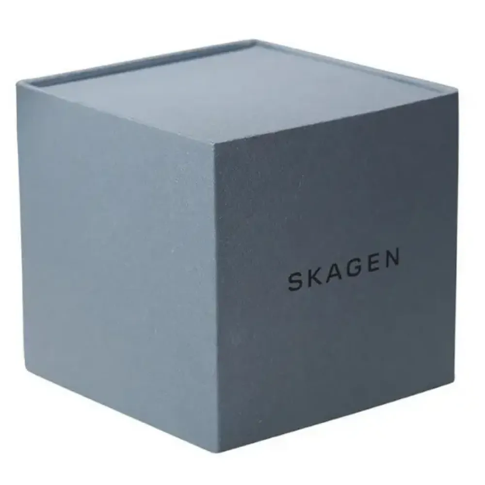 Skagen ure Skagen Signatur SKW6579 | Herreure Med Lænke | Herreure I Stål