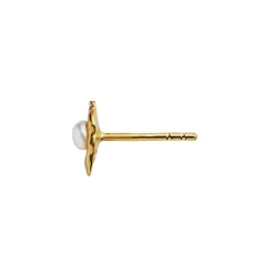 STINE A Jewelry Petit Shelly Pearl ørering 1289-02 | Øreringe | Forgyldte Sølvsmykker