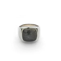 Alexander Lynggaard smykker Alexander Lynggaard Hope Signet ring H10080| Sølvsmykker|Ringe