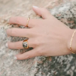 IX Studios smykker IX Studios Cushion Signet ring Turtle Agate DMN0282GDTA| Herresmykker|Ringe