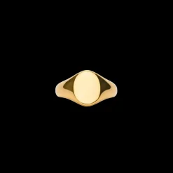 IX Studios smykker IX Studios Mini Oval Signet ring DMN0299GD| Herresmykker|Ringe