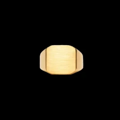 IX Studios smykker IX Studios Octacon Signet ring DMN0290GD| Herresmykker|Ringe