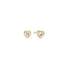 Sif Jakobs Jewellery Sif Jakobs Amorino øreringe SJ-E2492-CZ-YG| Forgyldte Sølvsmykker|Øreringe