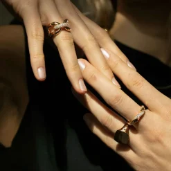 Sif Jakobs Jewellery Sif Jakobs Ferrara ring SJ-R12114-CZ-SG| Ringe|Forgyldte Sølvsmykker